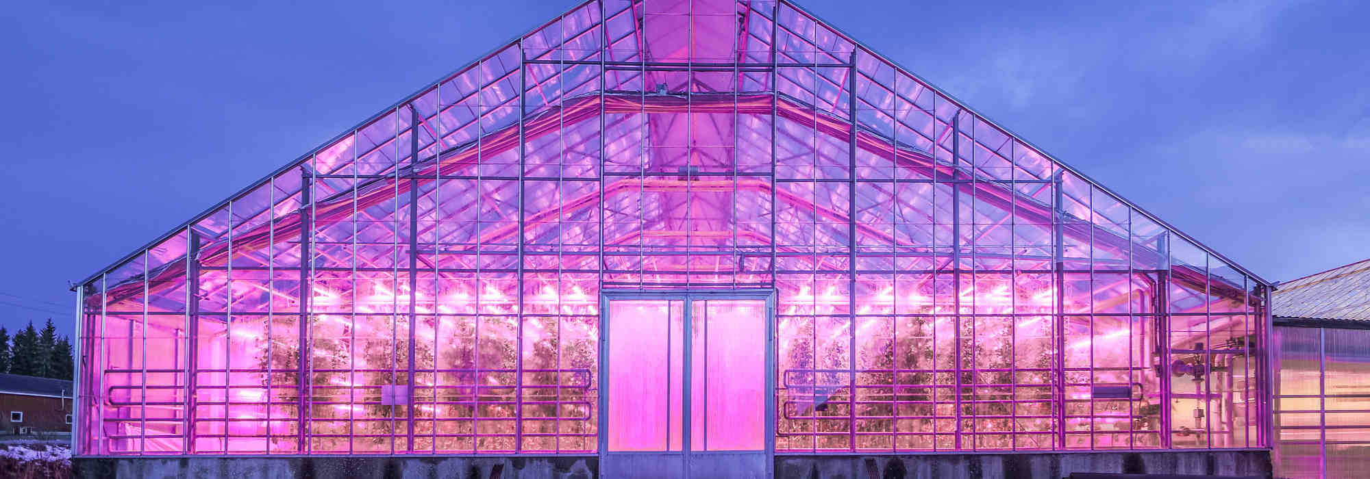 Lighting synergies: Newlite & Philips Horticulture